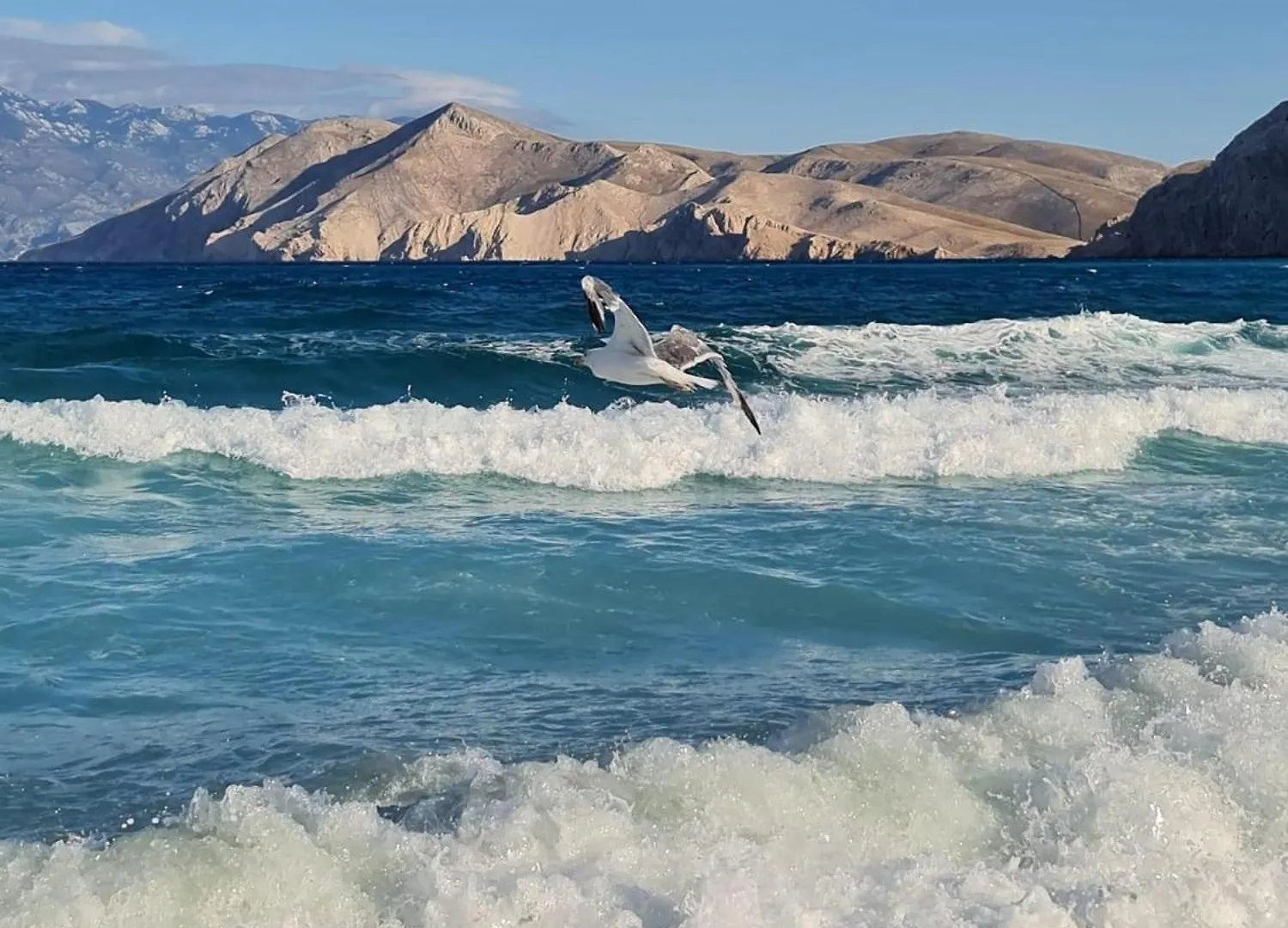 Carpe Diem Baska 0*, Baška Chorvatsko